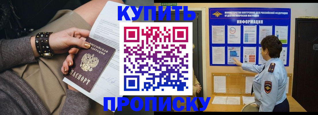 прописка в Курчалом